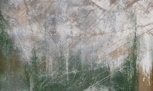 Surowa zieleń MS20230809tx.jpg