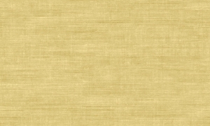 Tapeta Arte Signature Canvas A24509