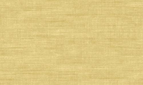 Arte Signature Canvas A24509