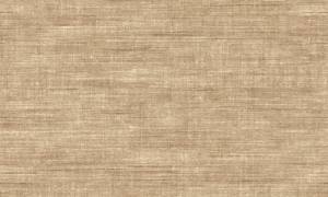 Tapeta Arte Signature Canvas A24512