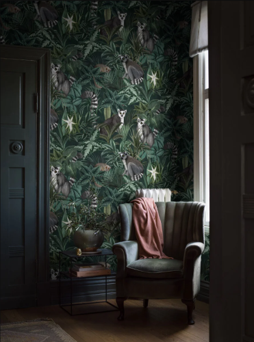 9570w_Madagascar_Roomshot_1.png