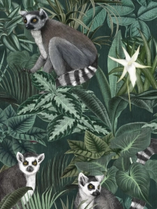 Mural Borastapeter Madagascar 9570W