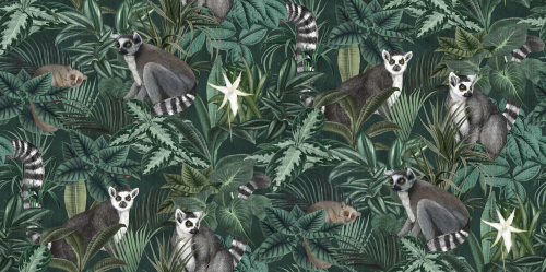 9570W_Madagascar_PatternImage.png