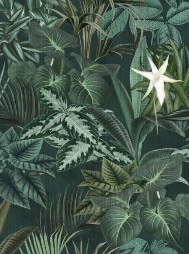 9571W_MadagascarLeaves_Closeup.png