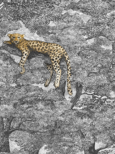9572W_Samburu.png