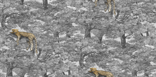 9572W_Samburu_PatternImage.png