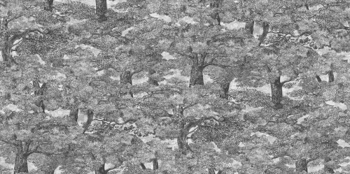 9573W_SamburuTree_PatternImage.png