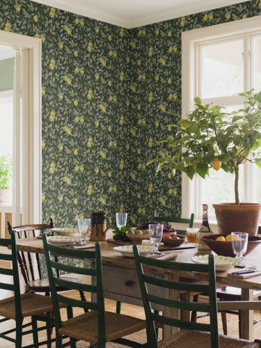 5701_Citronträd_Roomshot_1.jpg