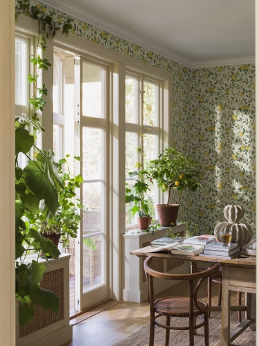 5702_Citronträd_Roomshot_1.jpg