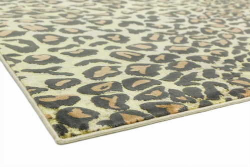 Asiatic Quantum QU01 Leopard