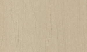 Tapeta Arte Vanguard Plex A93520