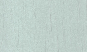 Tapeta Arte Vanguard Plex A93522