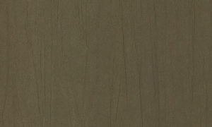 Tapeta Arte Vanguard Plex A93527