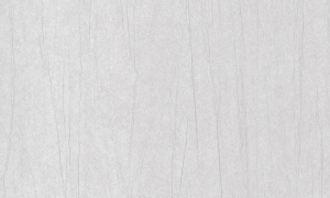 Tapeta Arte Vanguard Plex A93528