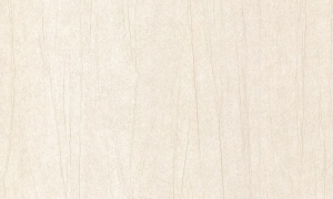 Tapeta Arte Vanguard Plex A93529