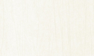 Tapeta Arte Vanguard Plex A93535