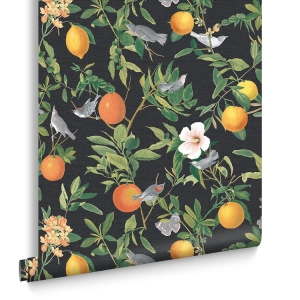 Tapeta dekoracyjna Graham&Brown Curiosity AMALFI UMORE 105642