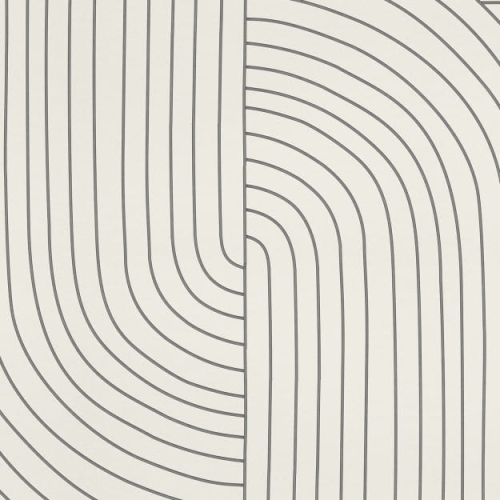 lines (5).jpg