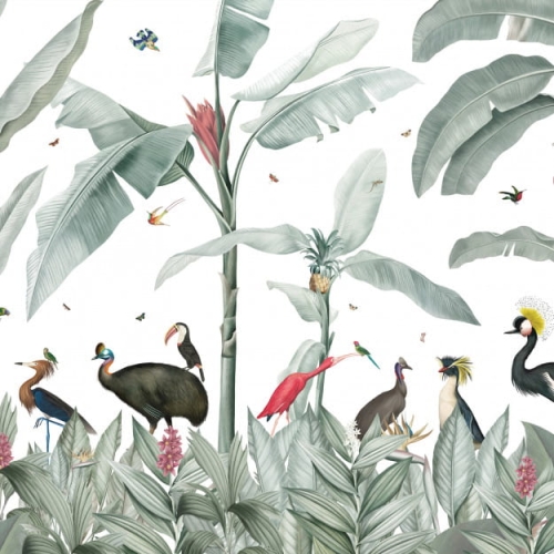 casela-birds (2).jpg