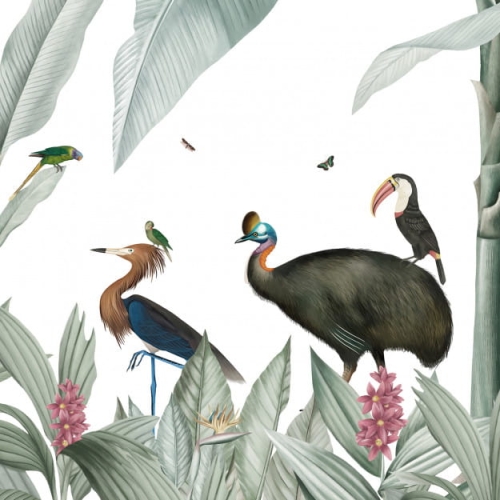 casela-birds (5).jpg