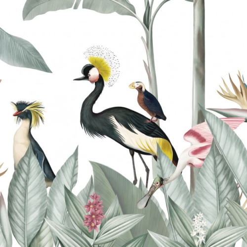 casela-birds (6).jpg