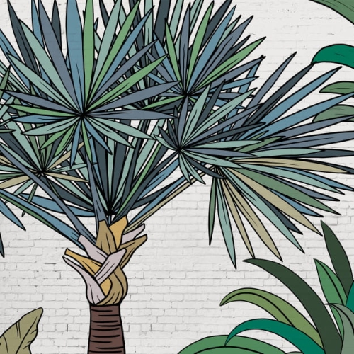palm-street (6).jpg