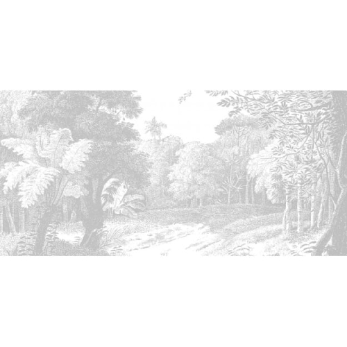 ebony-forest (3).jpg