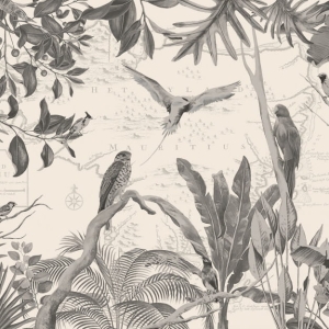 Grafika Les Dominotiers VOLUME 8 - MORIS Bel Air DOM605