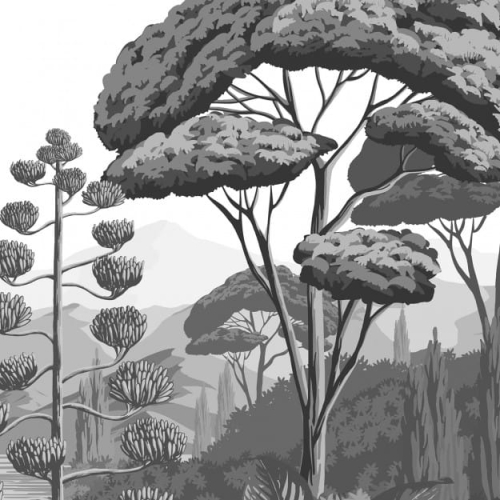 orta-grisaille.jpg