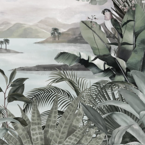 timicuro (5).jpg
