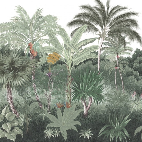hanalei.jpg