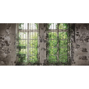 Grafika Les Dominotiers VOLUME 6 - TEXTURES BRUT Window Garden DOM437