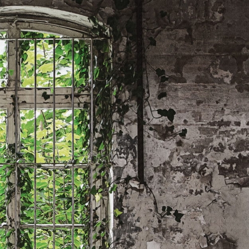 window-garden (1).jpg