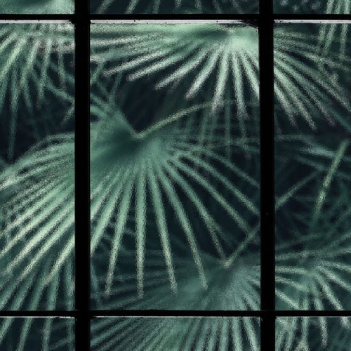 tropical-window (1).jpg