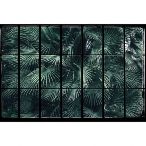 tropical-window (2).jpg