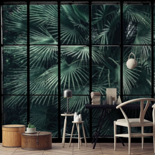 tropical-window (3).jpg
