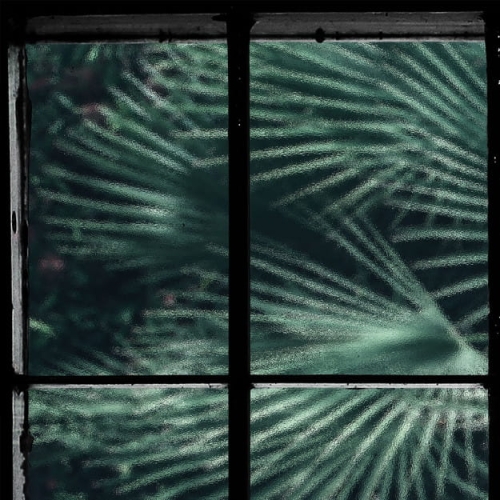 tropical-window (4).jpg