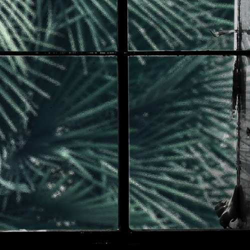 tropical-window (5).jpg