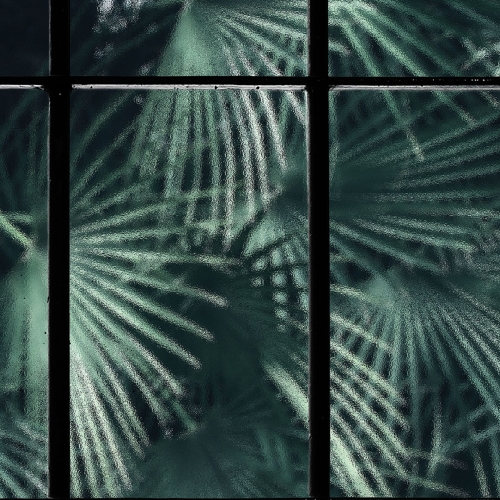 tropical-window (6).jpg
