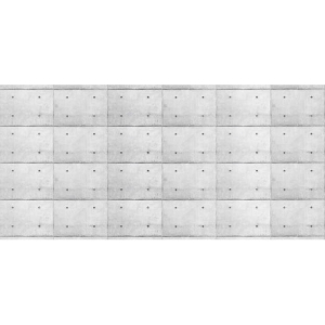 Grafika Les Dominotiers VOLUME 6 - TEXTURES BRUT Concrete Wall DOM432