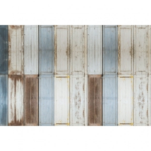 Grafika Les Dominotiers VOLUME 6 - TEXTURES BRUT Doors Wall DOM428