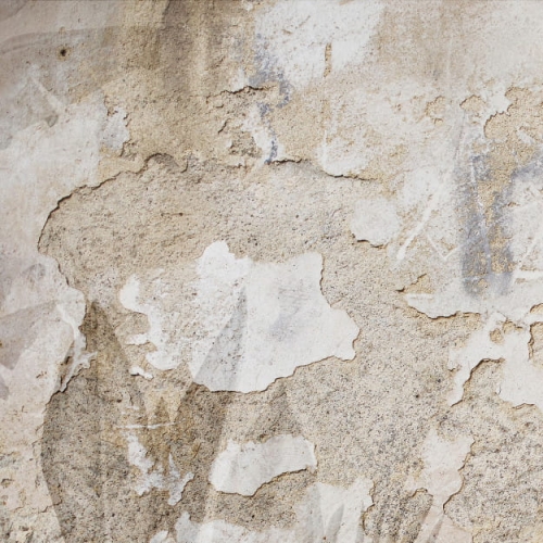 tropical-patina-wall (4).jpg