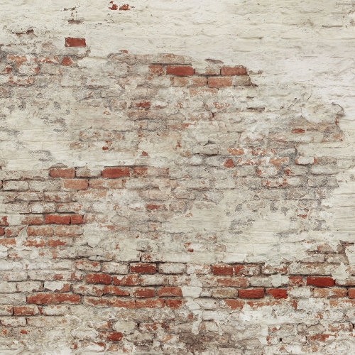 old-brick-wall (7).jpg
