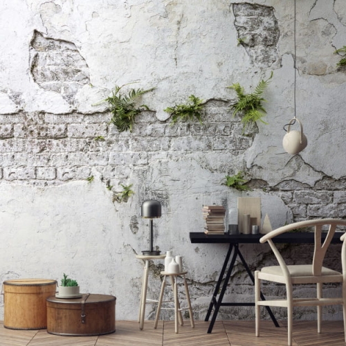 plants-brick-wall (3).jpg