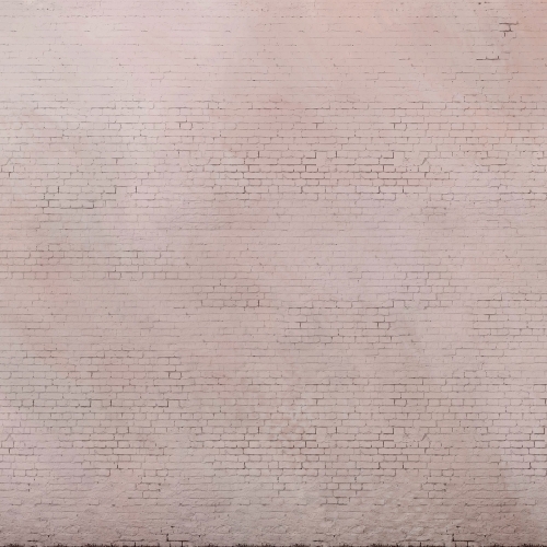 pink-brick-wall (7).jpg