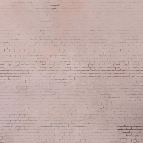pink-brick-wall (6).jpg