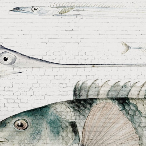 white-brick-wall-fish (5).jpg