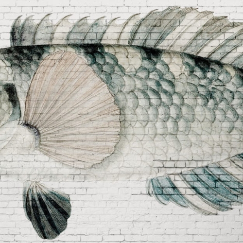 white-brick-wall-fish (6).jpg