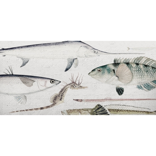 white-brick-wall-fish (7).jpg