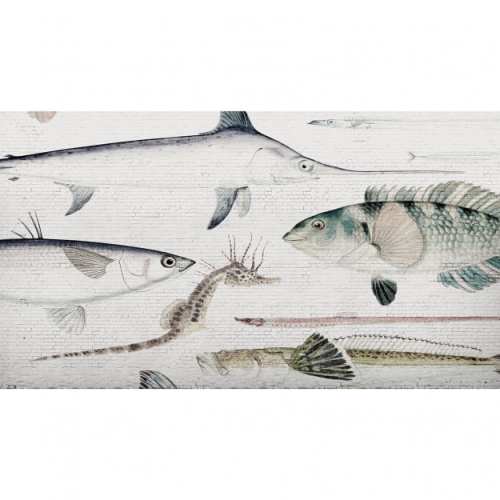 white-brick-wall-fish (1).jpg